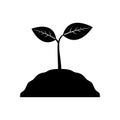 Plants and leaves icon. A sprout sprouts