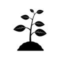 Plants and leaves icon. A sprout sprouts