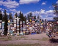 Sign Post Forest