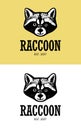 Sign of raccoon. Wild animal symbol for company or sports team. Raccoons head logo. Vector illustration.