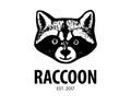 Sign of raccoon. Wild animal symbol for company or sports team. Raccoons head logo. Vector illustration.