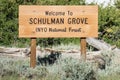 Sign for the Schulman Grove in the Ancient Bristlecone Pine Forest Royalty Free Stock Photo