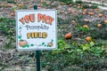 Sign for Self-Pick Pumpkin Patch Royalty Free Stock Photo