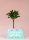 Sign on a shelf with the inscription discount on a background of a pale pink wall with a green plant in a women`s clothing store.