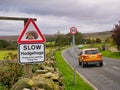 A sign warning og hedgehogs crossing at the side of a country road near Lingdale in Cleveland, UK