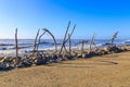 Driftwood Hokitika sign on beach