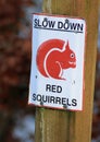 Sign stating SLOW DOWN RED SQUIRRELS