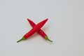 Sign or symbol multiplication, made from the fruit of fresh chilli red pepper with a green stalk