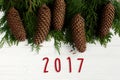 2017 sign text on green tree branches with pine cones frame on s Royalty Free Stock Photo