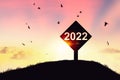 2022 sign at top of grass mountain with birds flying on sunset sky abstract background. Happy new year and freedom concept Royalty Free Stock Photo