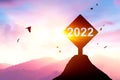 2022 sign at top of mountain with birds flying on sunset sky abstract background. Happy new year and freedom concept Royalty Free Stock Photo