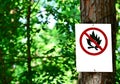 Sign on tree in forest - Prohibited fire concept Royalty Free Stock Photo