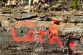 Sign on a treetrunk