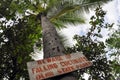 Sign under the palm tree - beware of falling coconuts Royalty Free Stock Photo
