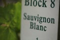 Sign in a vineyard Sauvignon Blanc