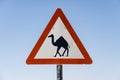 Caution Sign warning Camels Crossing on Rural Desert Road in the Middle East Royalty Free Stock Photo
