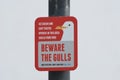 Sign warning about danger of scavenging gulls