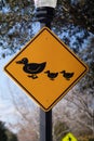 Sign warning about ducks crossing the road Royalty Free Stock Photo