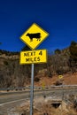 Traffic sign warning of cattle on the road Royalty Free Stock Photo