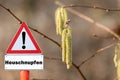 Sign with warning pollen hay fever allergy Royalty Free Stock Photo