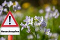 Sign with warning pollen hay fever allergy Royalty Free Stock Photo