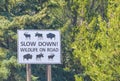 A sign warning slow down, wildlife on the road in Grand Teton National Park, Wyoming Royalty Free Stock Photo