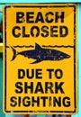 Sign warns against the possible danger of sharks