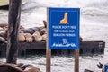 SAN FRANCISCO, CA: Sign warns visitors not to feed or harasss the sea lions on the docks of Pier 39 in San Francisco