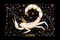 Sign of the zodiac Scorpio. Constellation of the Scorpion. Vector illustration Royalty Free Stock Photo