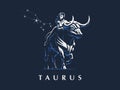 Sign of the zodiac Taurus. Bull. Vector illustration. Royalty Free Stock Photo