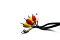 signal cable ,red and white for audio ,yellow for video