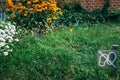 Signal don`t walk on the grass Royalty Free Stock Photo