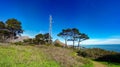 Signal Hill Radio Mast Royalty Free Stock Photo