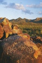 Signal Hill in Saguaro National Park Royalty Free Stock Photo