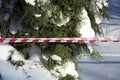 Signal striped tape near trees in the snow. Park hazard warning. Warning signs for people. Attention - snow melting