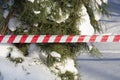 Signal striped tape near trees in the snow. Park hazard warning. Warning signs for people. Attention - collapse Royalty Free Stock Photo