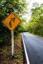 Signal turn right on country road, Traffic Signs