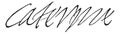 Signature of Catherine de Medici, Queen of France, wife of Henry II 1519-1589, vintage engraving
