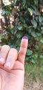 Signature tint Part of election in my country indonesia