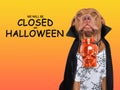 Signboard with the inscription We will be closed on Halloween Royalty Free Stock Photo