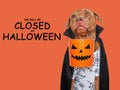 Signboard with the inscription We will be closed on Halloween Royalty Free Stock Photo