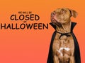 Signboard with the inscription We will be closed on Halloween Royalty Free Stock Photo