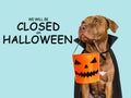 Signboard with the inscription We will be closed on Halloween Royalty Free Stock Photo