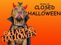 Signboard with the inscription We will be closed on Halloween