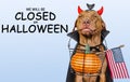 Signboard with the inscription We will be closed on Halloween Royalty Free Stock Photo