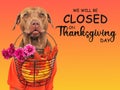 Signboard with the inscription We will be closed on Thanksgiving Royalty Free Stock Photo