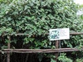 Signboard of Kurinji at Eravikulam National Park, Kerala, India Royalty Free Stock Photo