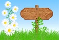 Signboard on the meadow with daisies Royalty Free Stock Photo