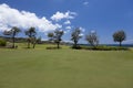 Signiture green on oceanside maui course, Royalty Free Stock Photo