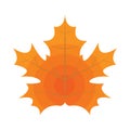 Signle Autumn leaf. Autumn maple leaf. Flat and solid color Vector illustration